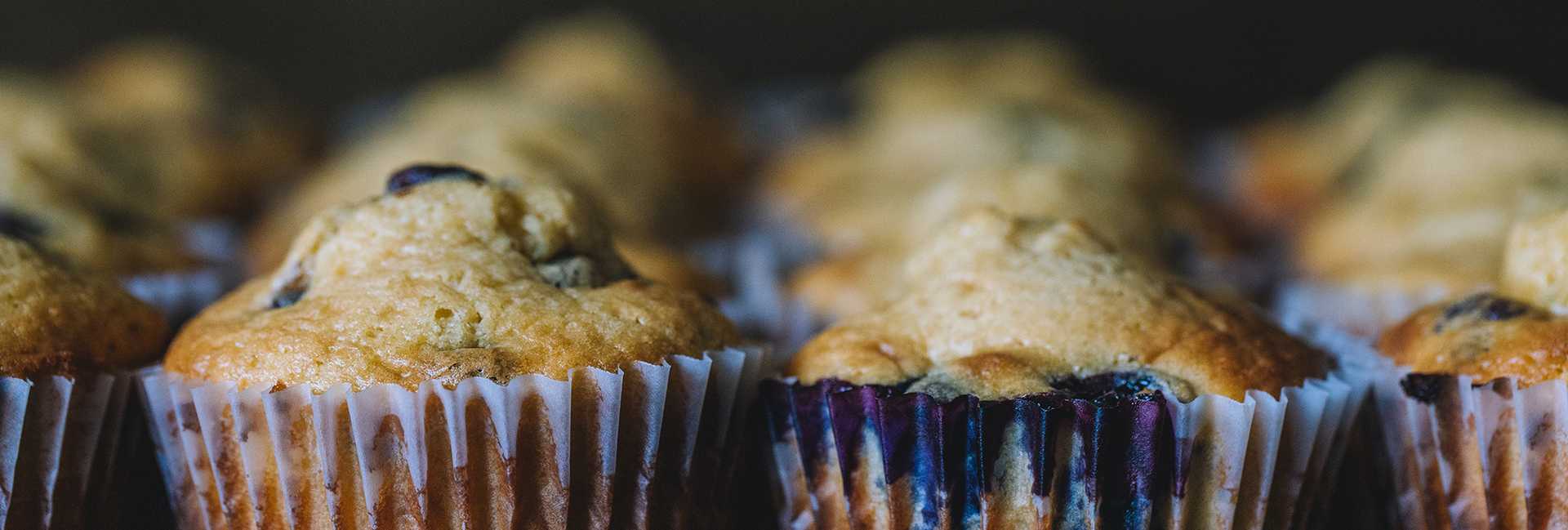 Einkorn yogurt blueberry chocolate chip muffins